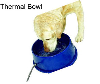 Thermal Bowl