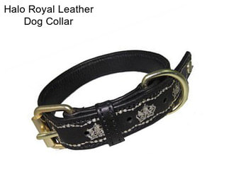 Halo Royal Leather Dog Collar