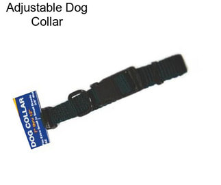 Adjustable Dog Collar