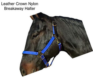 Leather Crown Nylon Breakaway Halter