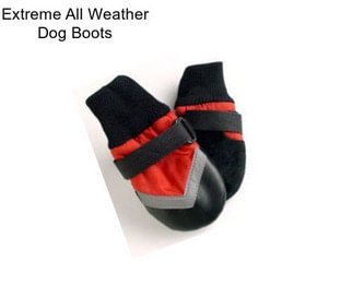 Extreme All Weather Dog Boots