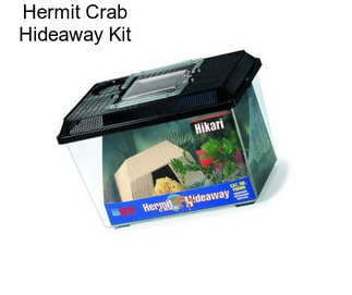 Hermit Crab Hideaway Kit