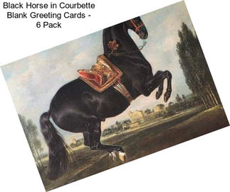 Black Horse in Courbette Blank Greeting Cards - 6 Pack