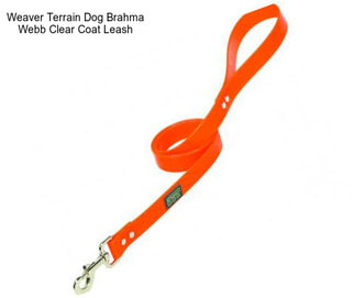 Weaver Terrain Dog Brahma Webb Clear Coat Leash