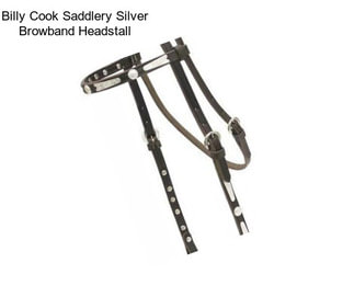 Billy Cook Saddlery Silver Browband Headstall