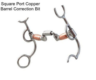 Square Port Copper Barrel Correction Bit
