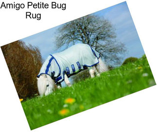 Amigo Petite Bug Rug