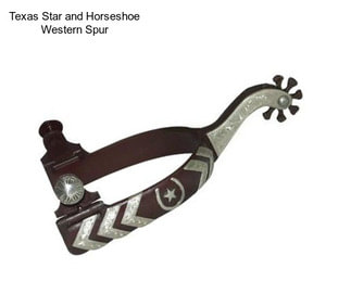 Texas Star and Horseshoe Western Spur