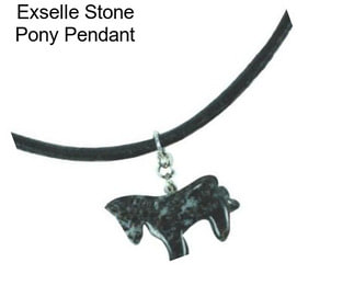 Exselle Stone Pony Pendant
