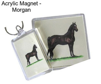 Acrylic Magnet - Morgan