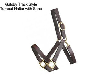 Gatsby Track Style Turnout Halter with Snap