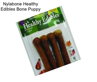 Nylabone Healthy Edibles Bone Puppy