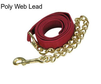 Poly Web Lead