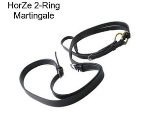 HorZe 2-Ring Martingale