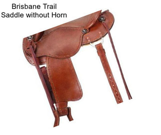 Brisbane Trail Saddle without Horn