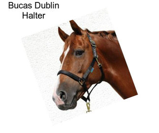 Bucas Dublin Halter