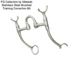 FG Collection by Metalab Stainless Steel Brushed Training Correction Bit