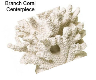 Branch Coral Centerpiece