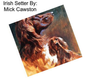 Irish Setter By: Mick Cawston