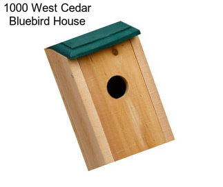 1000 West Cedar Bluebird House