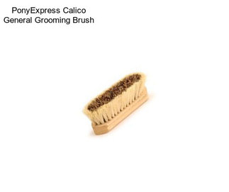 PonyExpress Calico General Grooming Brush