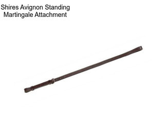 Shires Avignon Standing Martingale Attachment