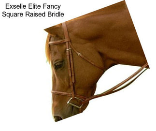 Exselle Elite Fancy Square Raised Bridle