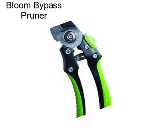 Bloom Bypass Pruner