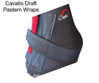 Cavallo Draft Pastern Wraps