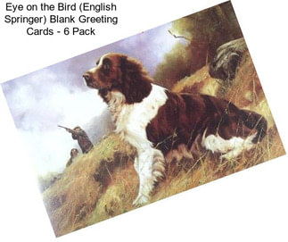 Eye on the Bird (English Springer) Blank Greeting Cards - 6 Pack