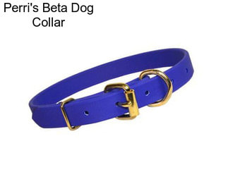 Perri\'s Beta Dog Collar