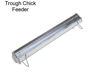 Trough Chick Feeder