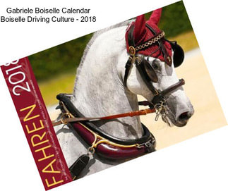 Gabriele Boiselle Calendar Boiselle Driving Culture - 2018