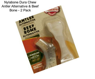 Nylabone Dura Chew Antler Alternative & Beef Bone - 2 Pack