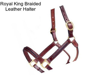 Royal King Braided Leather Halter