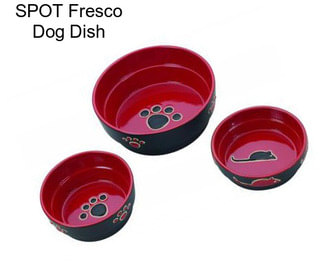 SPOT Fresco Dog Dish