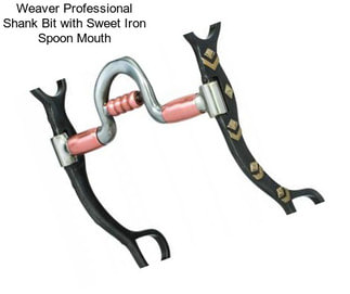 Weaver Professional Shank Bit with Sweet Iron Spoon Mouth