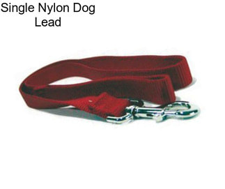 Single Nylon Dog Lead