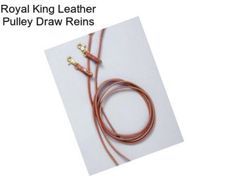 Royal King Leather Pulley Draw Reins