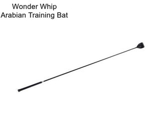 Wonder Whip Arabian Training Bat