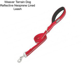 Weaver Terrain Dog Reflective Neoprene Lined Leash