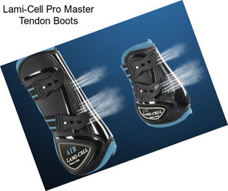 Lami-Cell Pro Master Tendon Boots