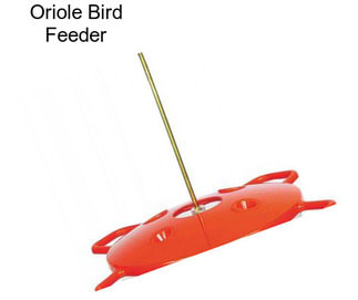 Oriole Bird Feeder