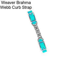 Weaver Brahma Webb Curb Strap