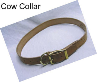 Cow Collar