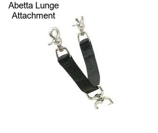 Abetta Lunge Attachment