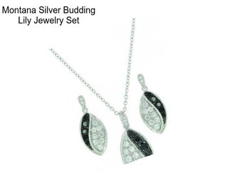 Montana Silver Budding Lily Jewelry Set