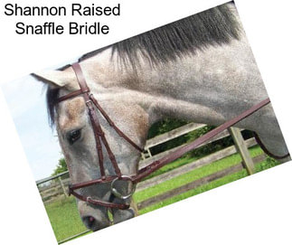 Shannon Raised Snaffle Bridle