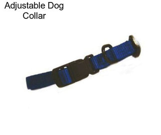 Adjustable Dog Collar