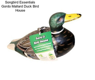 Songbird Essentials Gordo Mallard Duck Bird House